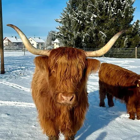 Casa vacanze Schorsch's