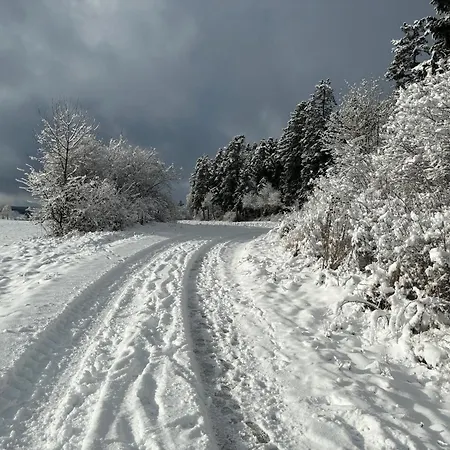 Casa vacanze Schorsch's *