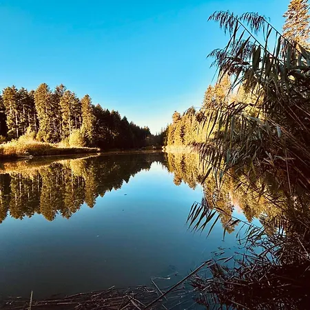 Schorsch's * Fluorn-Winzeln